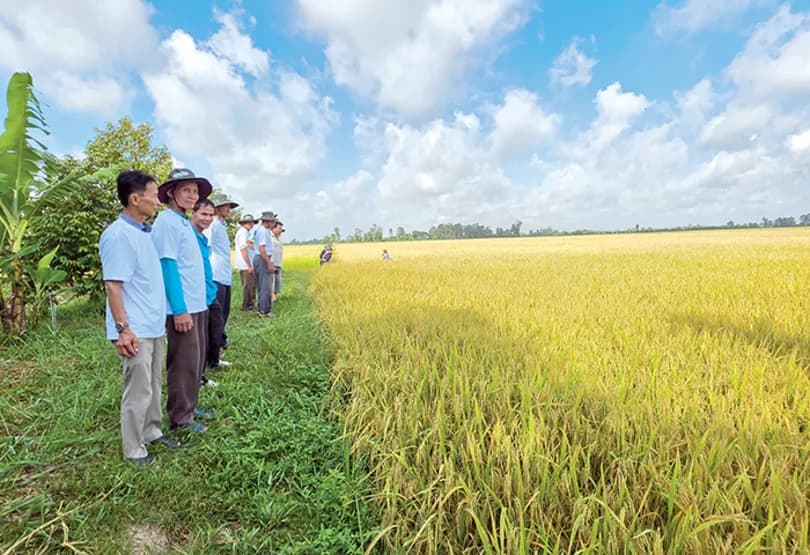 Improving the quality and added value of agricultural products.