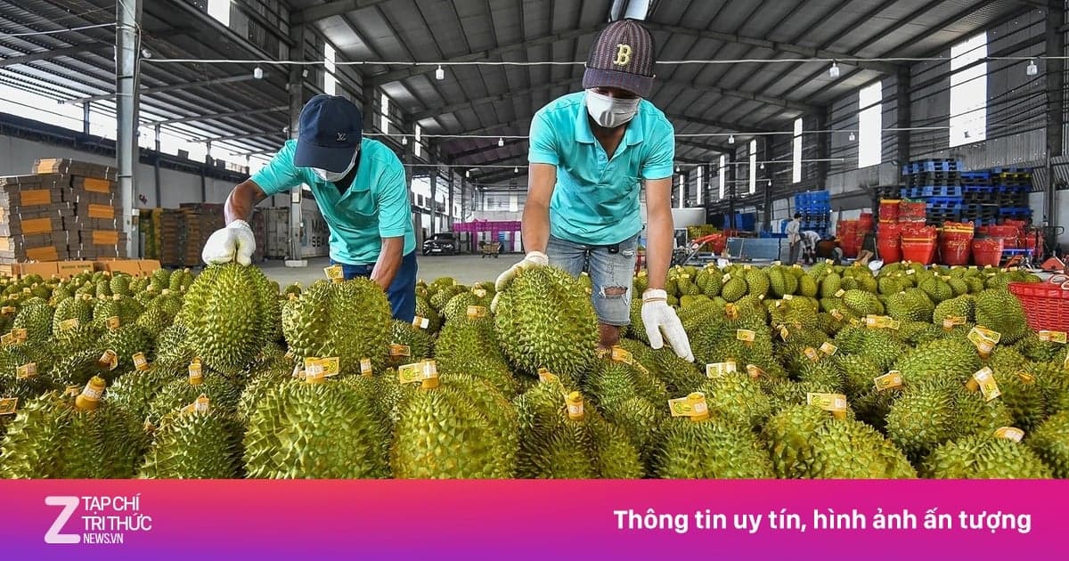 Tìm ra cách giảm lượng thuốc bảo vệ thực vật trên cây trồng