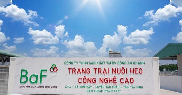 Nông nghiệp BAF Việt Nam (BAF) chào bán 40,5 triệu cổ phiếu, dự kiến thu hơn 608 tỷ đồng