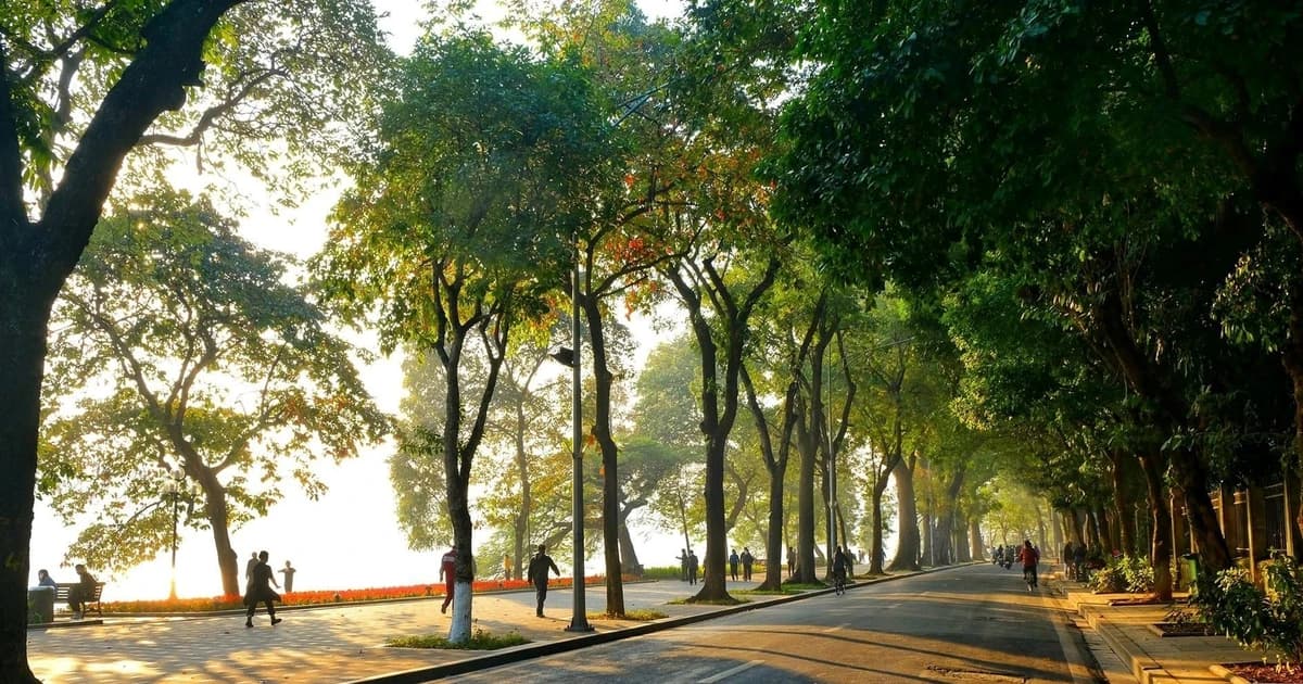 Dự báo thời tiết ngày 3/10: Bắc Bộ nắng nóng, Nam Bộ mưa to về chiều tối