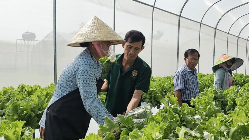Phát triển kinh tế nông thôn - Hành trình của nông dân và chính quyền