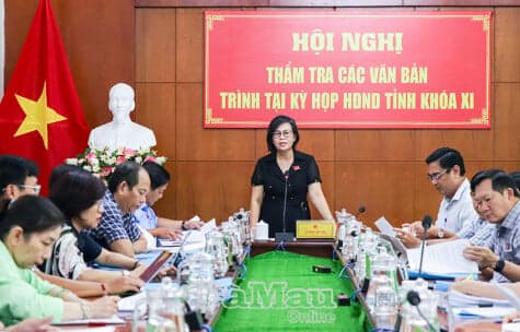Thẩm tra 4 dự thảo nghị quyết trình HĐND tỉnh
