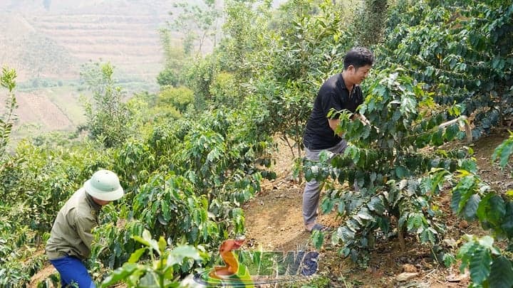 Đổi mới phương thức lãnh đạo - tạo sức bật vùng cao