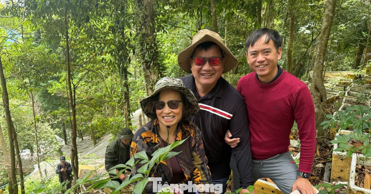 Tour du lịch phía Nam Đà Nẵng có gì hấp dẫn?