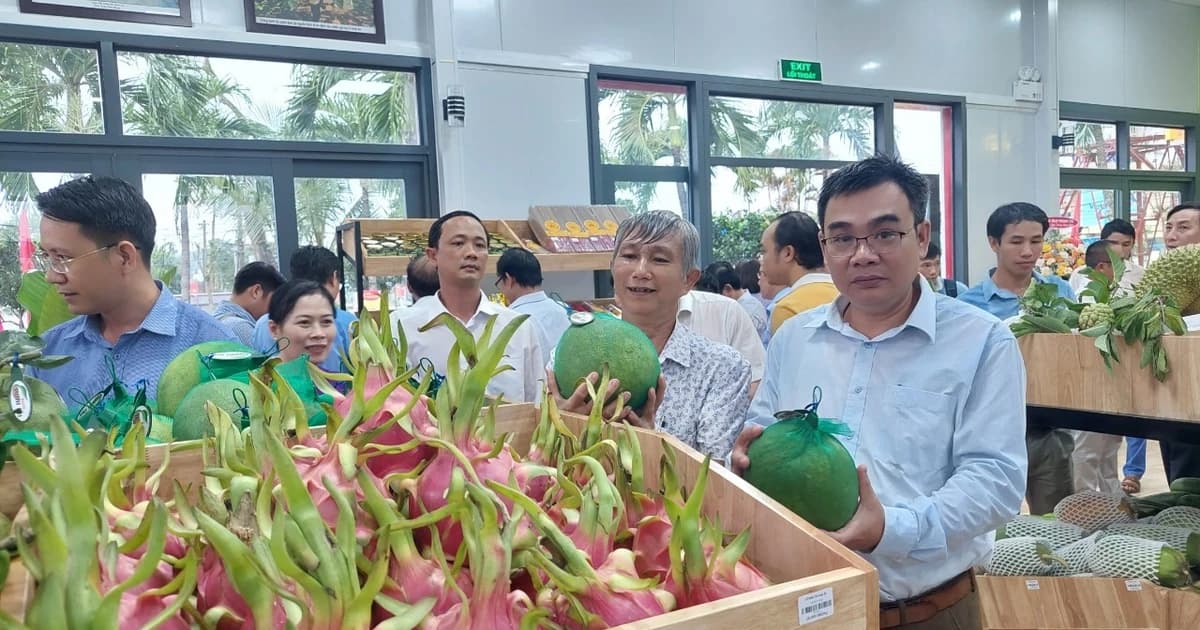 Gia Lai đẩy nhanh cấp mã số vùng trồng, cơ sở đóng gói