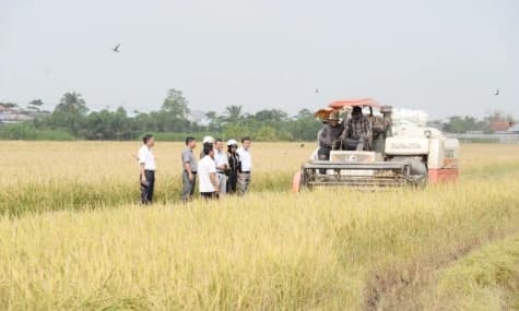 Phát huy vai trò của hợp tác xã trong tái cơ cấu ngành Nông nghiệp