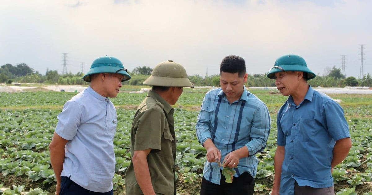 ‘Bác sĩ’ của cây trồng