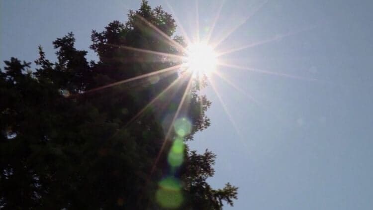 Europe experienced one of the hottest summers in history.