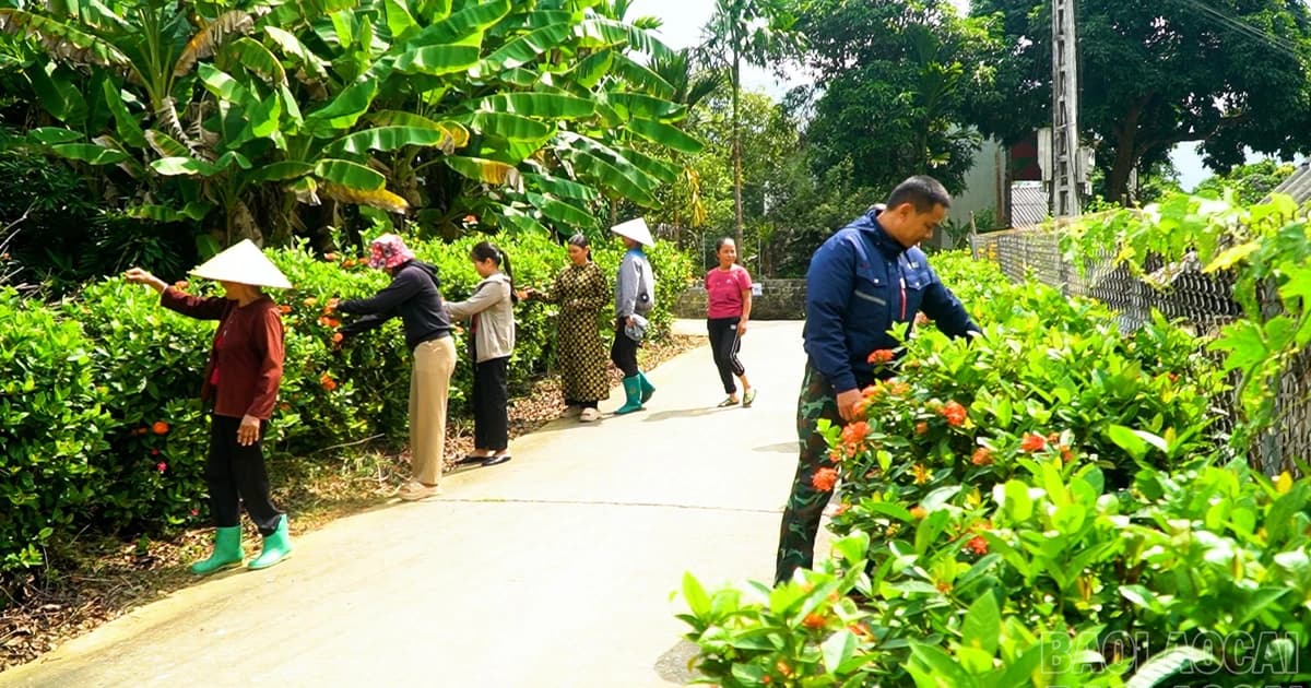 Promoting national unity in Chấn Thịnh