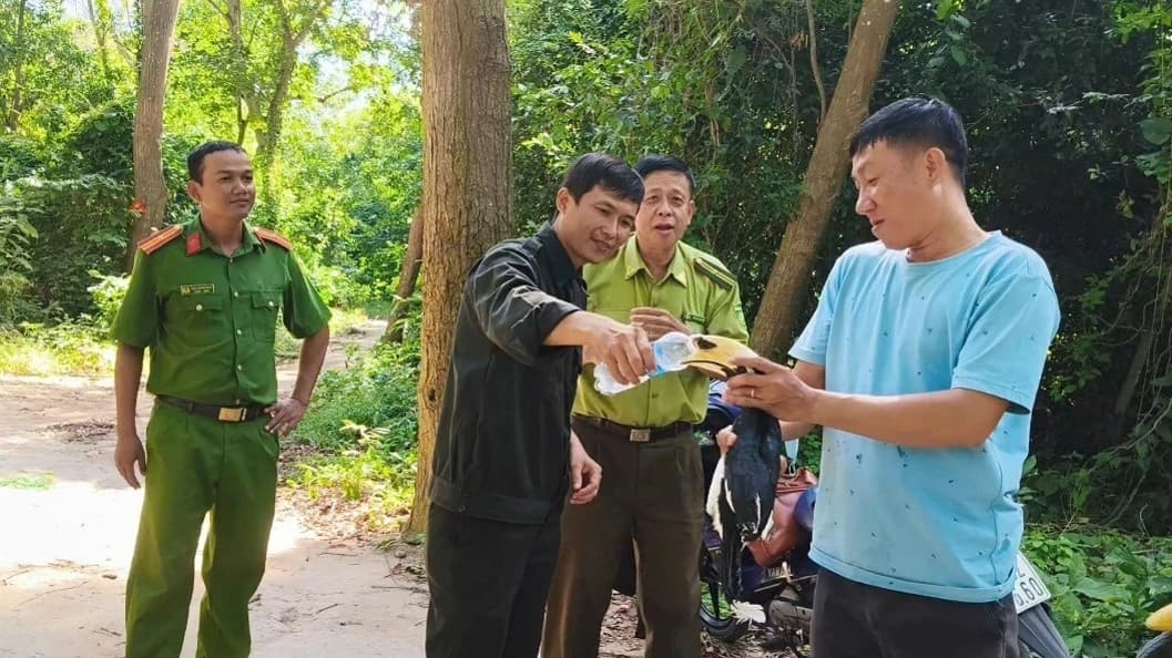 An Giang: Effectiveness of wildlife protection awareness campaigns.
