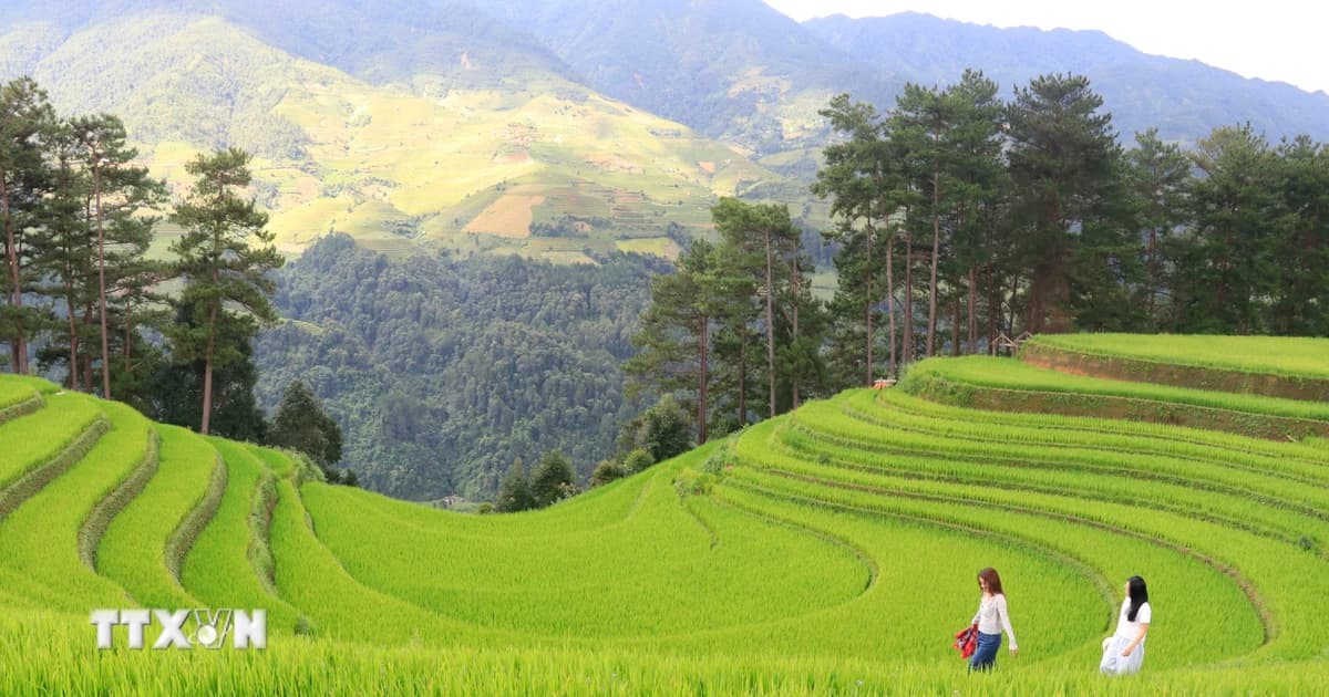 Lao Cai-Tuyen Quang: Connecting heritage regions into a single journey.