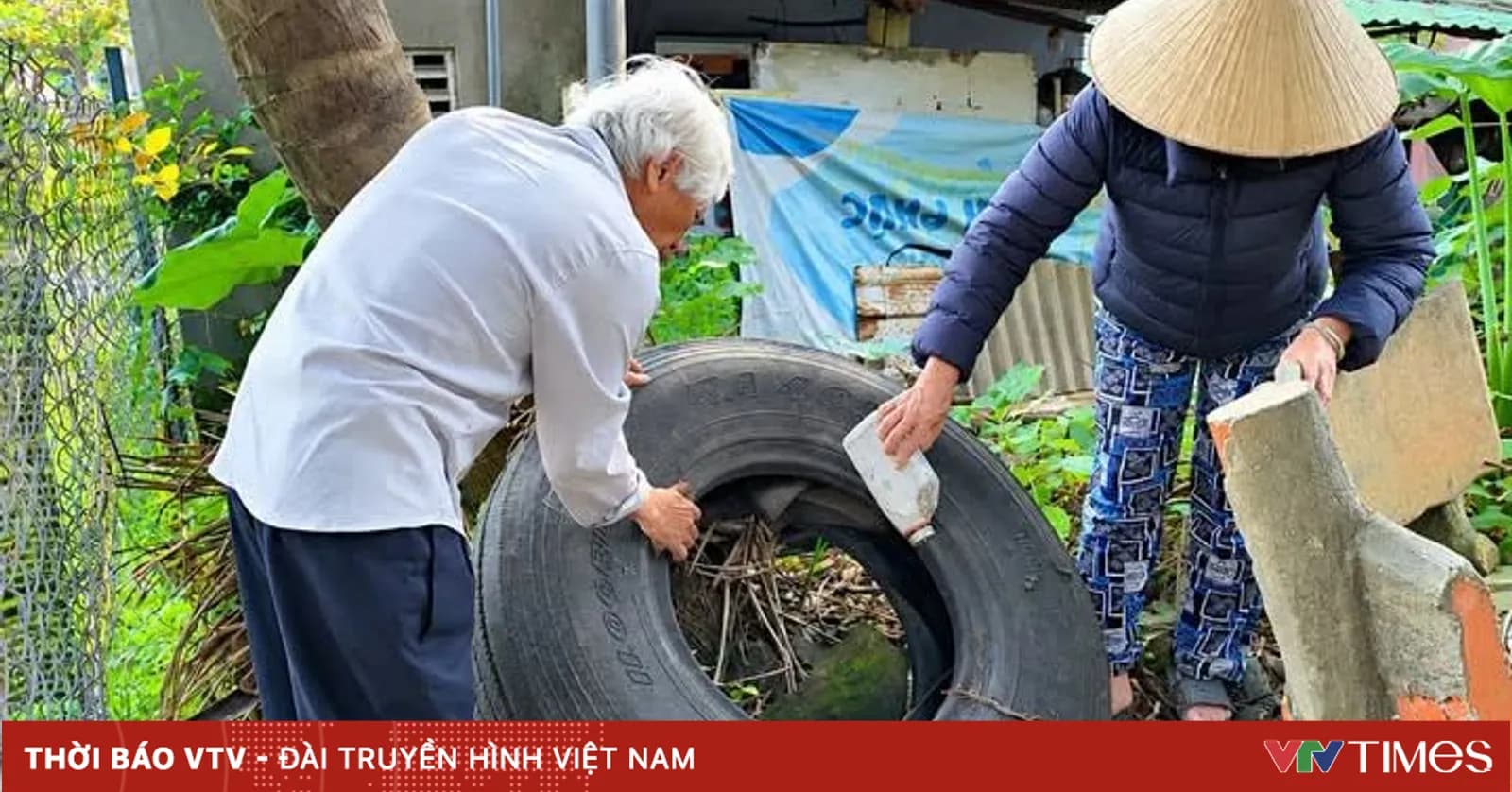 Da Nang: Number of dengue fever cases increased 2.4 times compared to the same period last year.