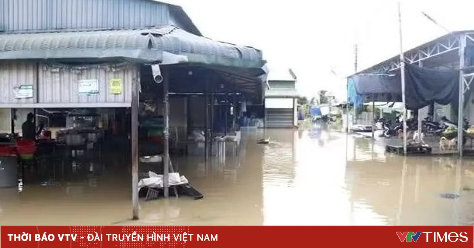 Lâm Đồng: Hơn 300 hecta cây trồng bị ngập úng, nhiều hộ dân, du khách phải sơ tán do mưa lớn
