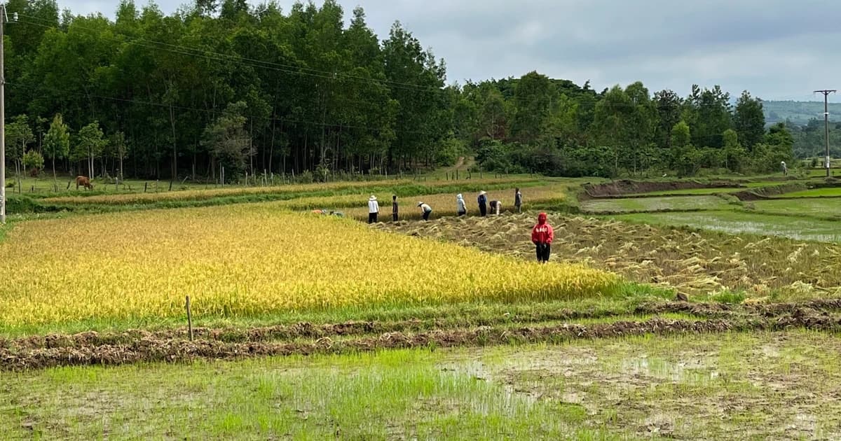 Bất ngờ bị yêu cầu nộp thêm tiền sử dụng đất, người dân cần làm gì?
