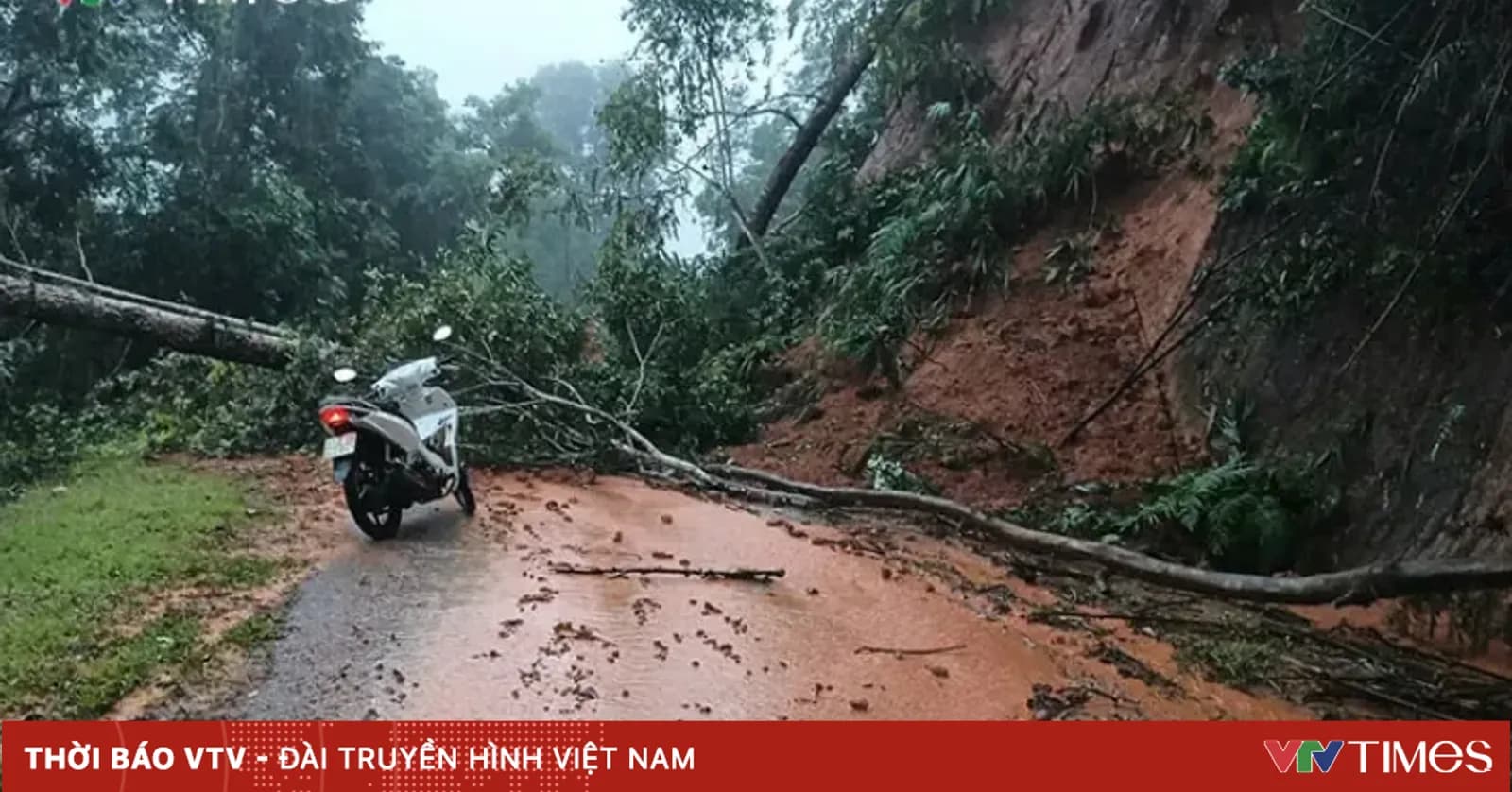 Cảnh báo lũ quét, sạt lở đất tại 3 tỉnh, Hà Nội có mưa dông