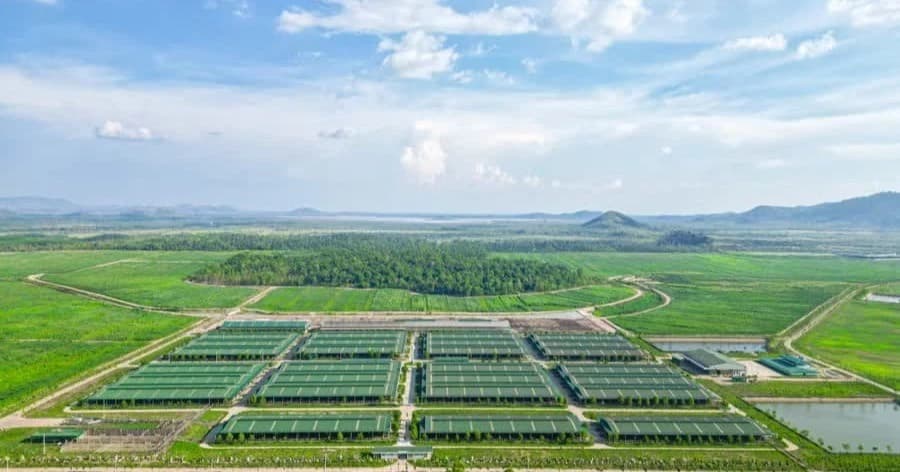 THACO AGRI bị phạt 92,5 triệu đồng do vi phạm quy định về thời hạn công bố thông tin