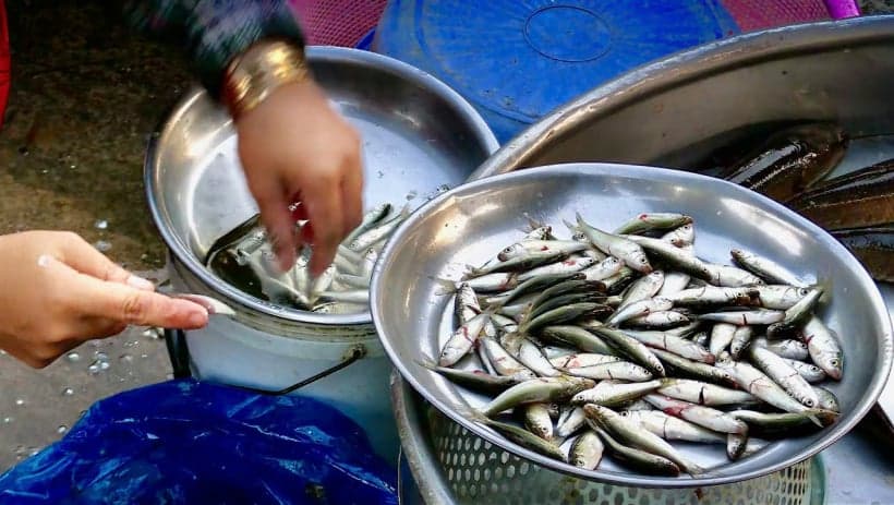 Snakehead fish remain a popular choice during the flood season.