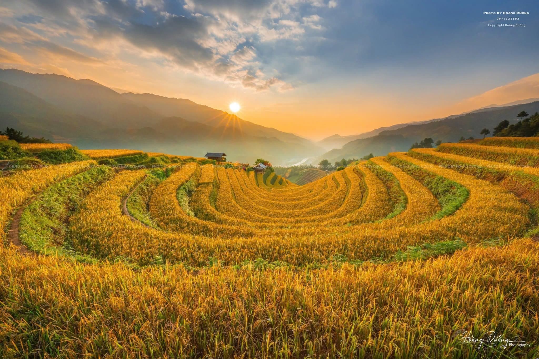 Connecting the cultural heritage of terraced rice fields