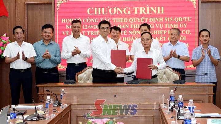 Đẩy mạnh phát triển kinh tế nông nghiệp hữu cơ tuần hoàn, liên kết chuỗi giá trị