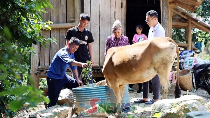Hỗ trợ sinh kế và xóa nhà tạm cho hộ nghèo