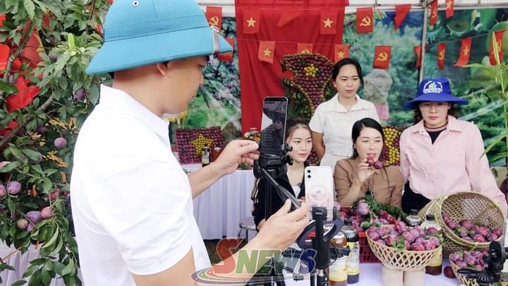 Nâng cao năng lực số cho HTX nông nghiệp
