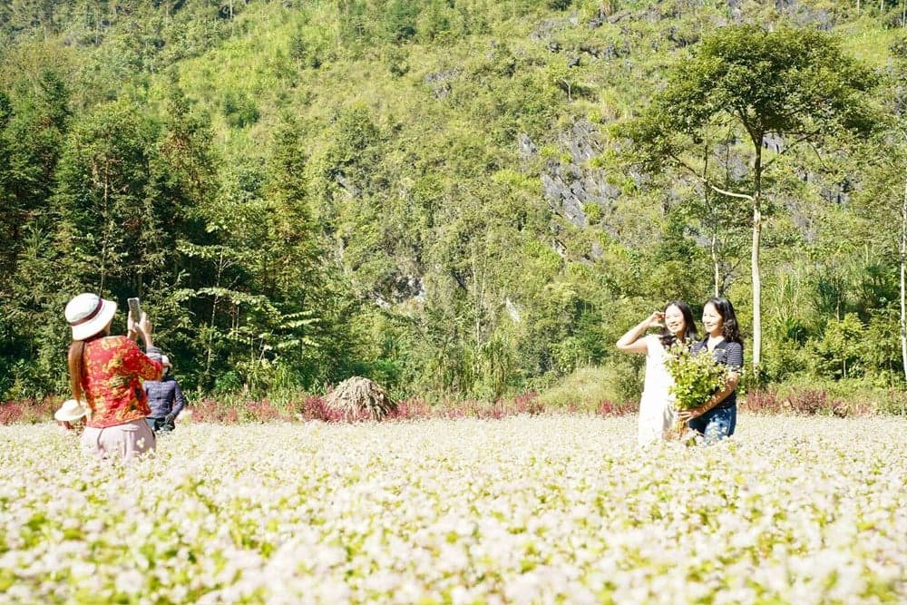 The streets of Bang are bustling with preparations to welcome the buckwheat flower season.